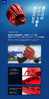 Hselection03 LP design (sports / Shades of blue / Trust and Safety) PC version