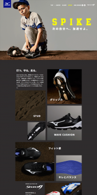 Select Nine Spikes LP design (sports / Shades of grey / Trust and Safety) PC version
