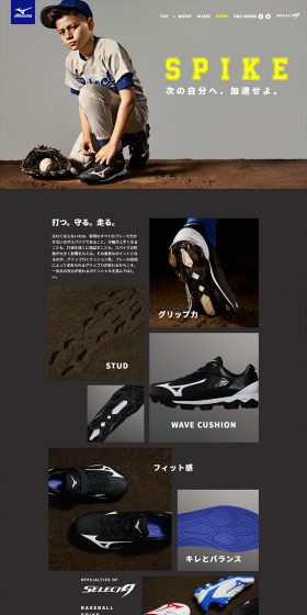 Select Nine Spikes LP design (sports / Shades of grey / Trust and Safety) PC version
