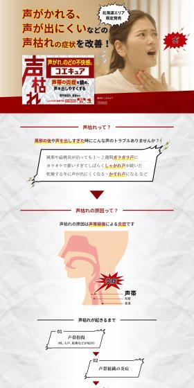 Koecure LP design (First Aid and Protective Supplies / Red tones / Simple) PC version
