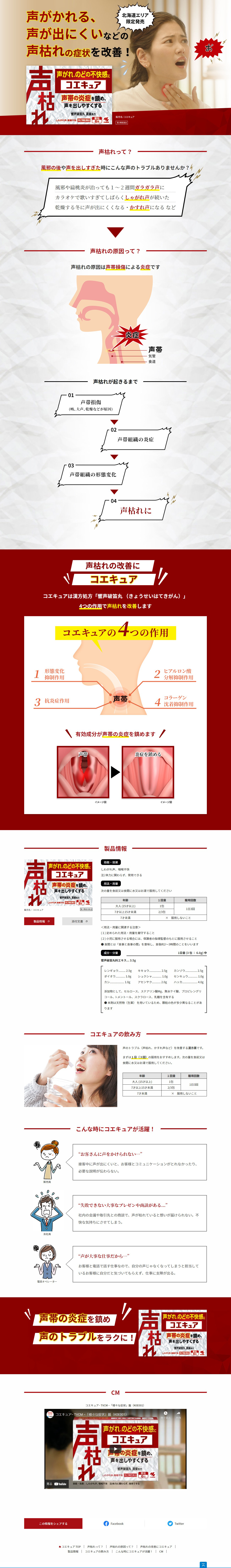 Koecure LP design (First Aid and Protective Supplies / Red tones / Simple) PC version
