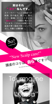 Hahoniko Pro Tourmaline Roller Kassa LP design (Beauty, Skincare, Fragrance / Shades of grey / Arts) PC version