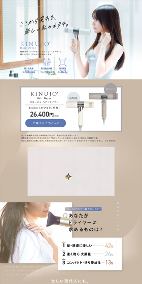KINUJO Hair Dryer LP design (Consumer electronics / Beige tones / Refined style) PC version