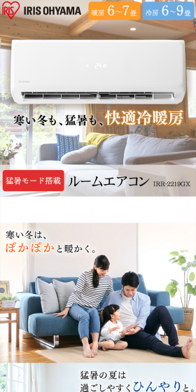 Room Air Conditioner 2.2kW IRR-2219GX LP design (Consumer electronics / White-based / Trust and Safety) PC version