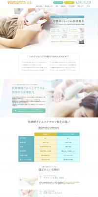Hair Removal LP design (Services, Insurance, and Finance / Shades of blue / Clean-cut) PC version