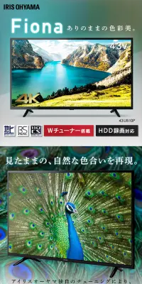 Fiona 4K対応液晶テレビ43インチ 43UB10PのLPデザイン（家電・パソコン・通信機器／ホワイト系／信頼・安心系）PC版