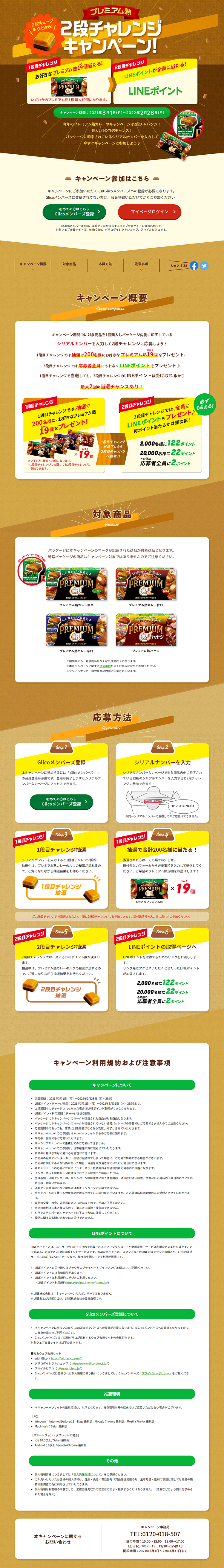 2段チャレンジキャンペーンのLPデザイン（サービス・保険・金融／ブラウン系／にぎやか系）PC版