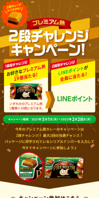 2段チャレンジキャンペーンのLPデザイン（サービス・保険・金融／ブラウン系／にぎやか系）スマホ版