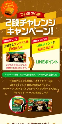2段チャレンジキャンペーンのLPデザイン（サービス・保険・金融／ブラウン系／にぎやか系）スマホ版