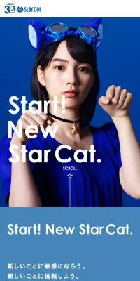 StarCat30周年のLPデザイン（インターネットサービス／ブルー系／シンプル系）PC版