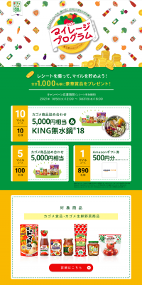 Mileage Program LP design (Internet service / yellow / Lively type) PC version