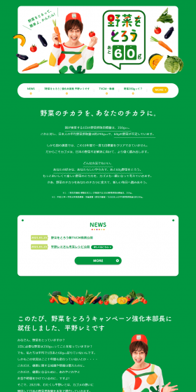 Eat your vegetables LP design (Internet service / Green tones / Health and Wellness) PC version