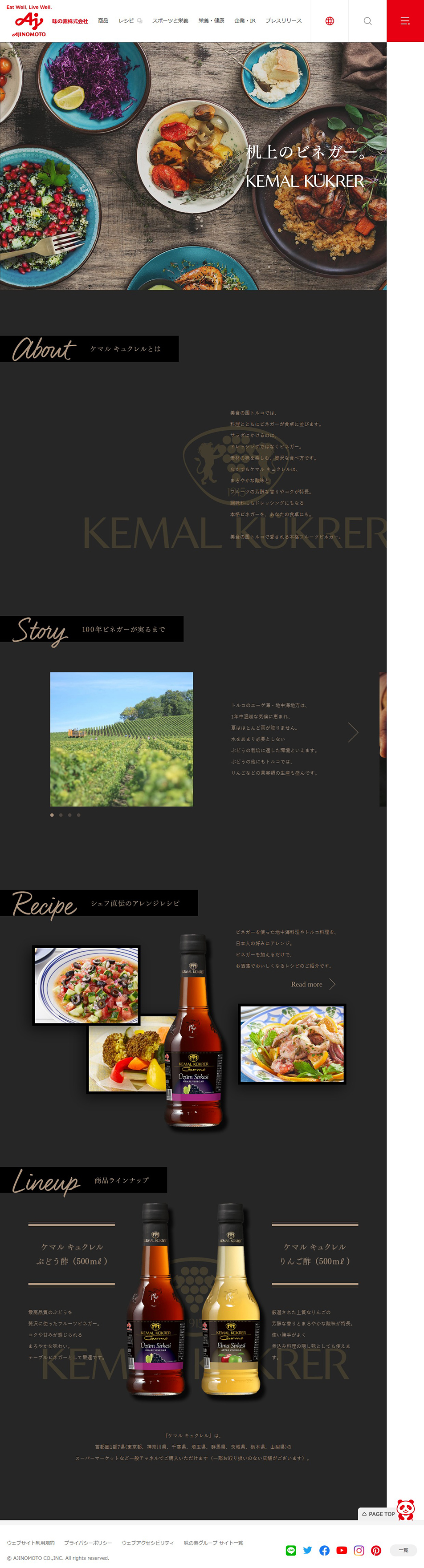 ケマル キュクレルのLPデザイン（調味料・甘味料・ダシ・スープ／ブラック系）PC版