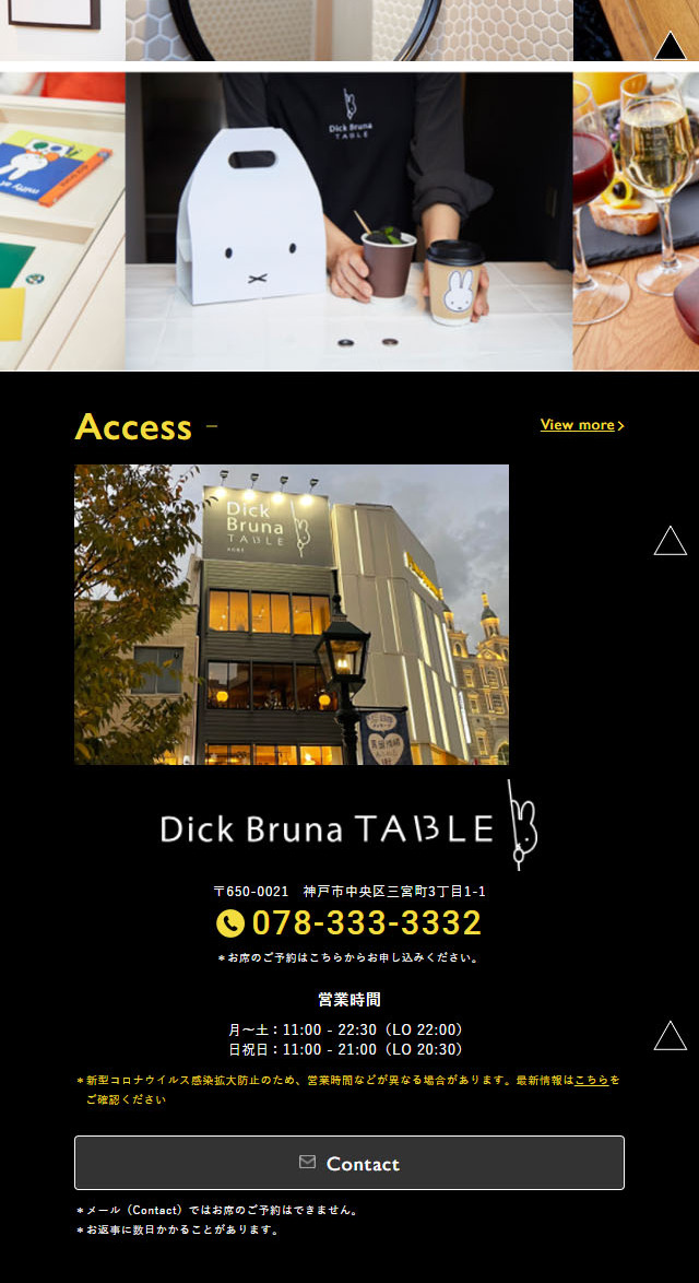 DickBrunaTABLE LP design (Services, Insurance, and Finance / Shades of grey / Simple) Mobile version