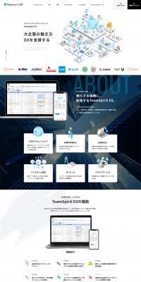 TeamSpiritEX LP design (Internet service / White-based / Simple) PC version