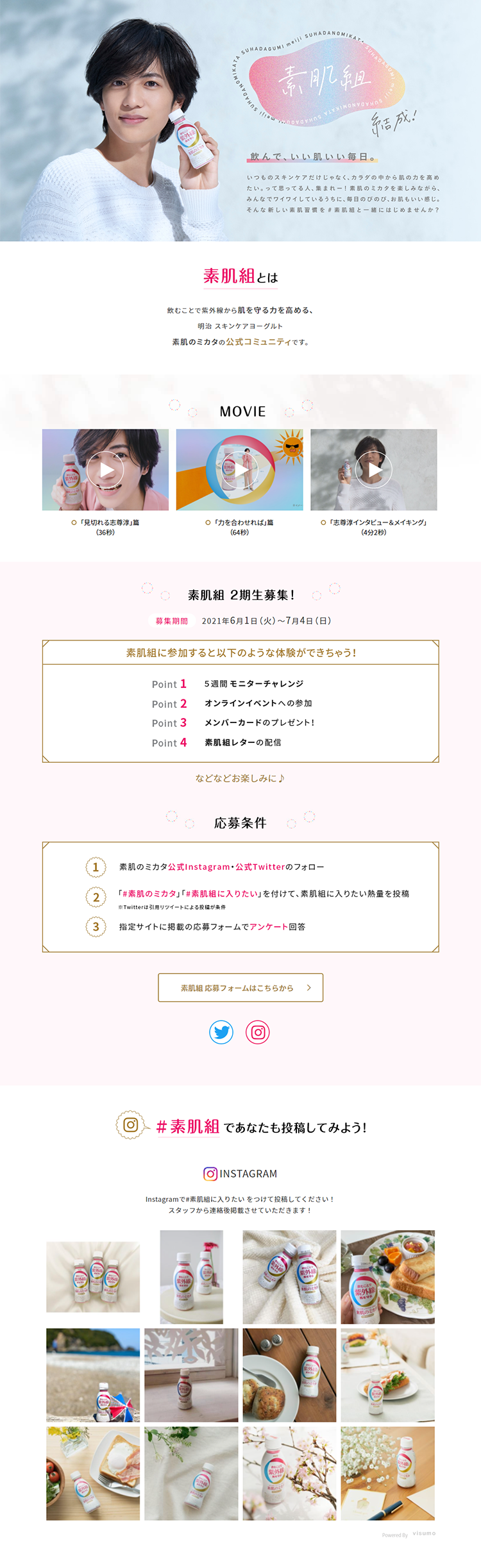 Suhadagumi LP design (Health and Beauty Foods and Supplements / White-based / Clean-cut) PC version