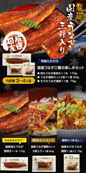 特大国産うなぎ蒲焼き3種セットのLPデザイン（食品／ブルー系／和風系）PC版