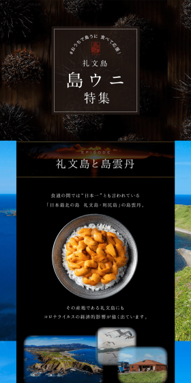 Island Sea Urchin Feature LP design (food / Shades of blue / Refined style) PC version