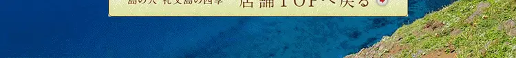 島ウニ特集のLPデザイン（食品／ブルー系／キレイ系）PC版