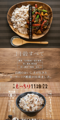 もっちり11雑穀 300gのLPデザイン（健康・美容食品・サプリ／ベージュ系／健康・癒し系）PC版