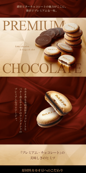 Premium Chocolate Cacao Sand Cookies LP design (Sweets and Snacks / Brown tones / Refined style) PC version
