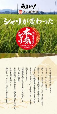 かっぱ寿司の本気シャリのLPデザイン（食品／カラフル系／和風系）スマホ版