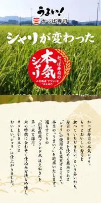 かっぱ寿司の本気シャリのLPデザイン（食品／カラフル系／和風系）スマホ版