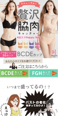 Luxury Side Fat Catcher LP design (fashion / White-based / Refined style) PC version