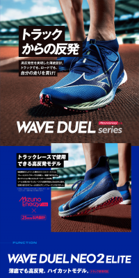 WAVEDUEL LP design (sports / Shades of blue / Refreshing type) PC version