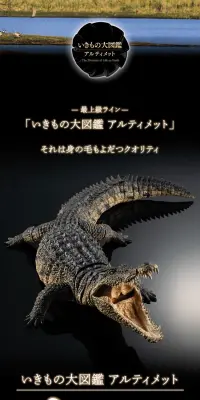 いきもの大図鑑アルティメット　ナイルワニのLPデザイン（玩具・ホビー・フィギュア／ブラック系／かっこいい系）PC版