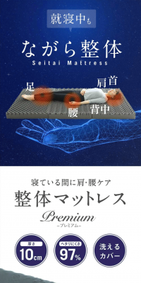 Orthopedic Mattress Premium RAKUNA LP design (Interior, furniture, and bedding / Shades of blue / Trust and Safety) PC version