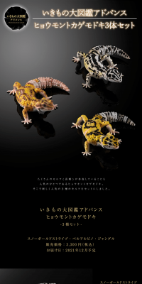 Ikimono Dai Zukan Advance Leopard Gecko 3-Species Set LP design (Kids, Baby, Toys / Black-colored / Cool style) PC version
