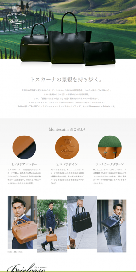 Business Bag B-MC001 LP design (Bags, Accessories, Brands / White-based / Luxury and celebrity) PC version