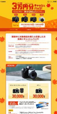 Autumn SMILE Campaign LP design (Services, Insurance, and Finance / Orange tones / Simple) PC version