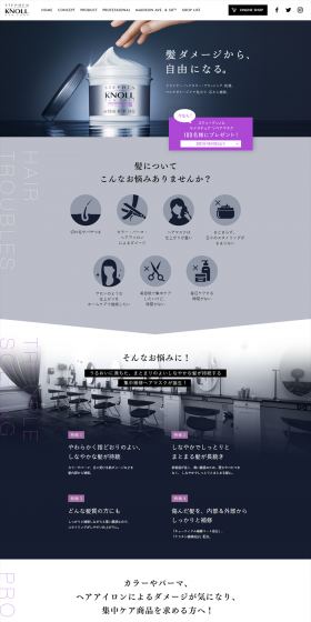 Stephen Knoll New York LP design (Beauty, Skincare, Fragrance / Shades of blue / Simple) PC version