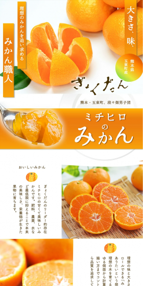 Michihiro's Mandarins LP design (food / Orange tones / Refined style) PC version