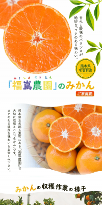 Fukushima Noen's Home-Use Mikan LP design (food / White-based / Natural style) PC version
