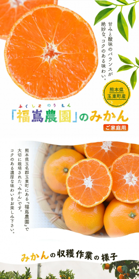 福嶌農園のご家庭用みかんのLPデザイン（食品／ホワイト系／ナチュラル系）PC版