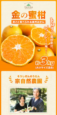 Kin no Mikan LP design (food / Orange tones / Natural style) PC version