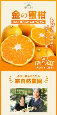 金の蜜柑のLPデザイン（食品／オレンジ系／ナチュラル系）PC版