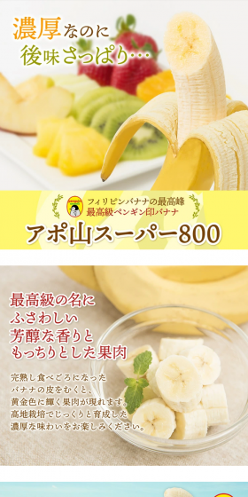 Apo-san Super 800 LP design (food / yellow / Refined style) PC version