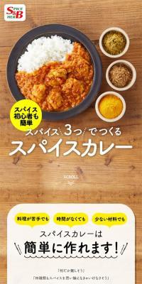 スパイスカレーのLPデザイン（レトルト・インスタント／イエロー系／ナチュラル系）スマホ版