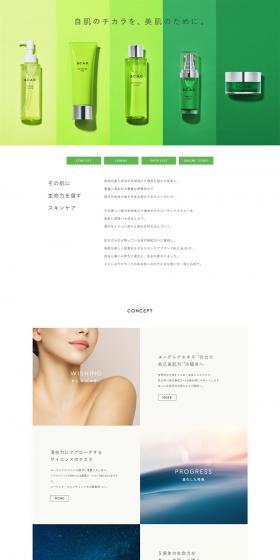 B.C.A.D LP design (Skincare, Bodycare, Haircare / Green tones / Simple) PC version