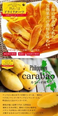 完熟カラバオマンゴーのLPデザイン（フルーツ・果物・野菜／イエロー系／オーガニック系）PC版