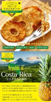 完熟コスタリカパインのLPデザイン（フルーツ・果物・野菜／イエロー系／オーガニック系）PC版