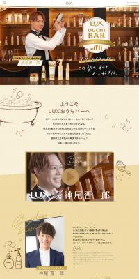 LUX Home Bar LP design (Diagnosis, Matching, and Summary / Gold tones / Refined style) PC version