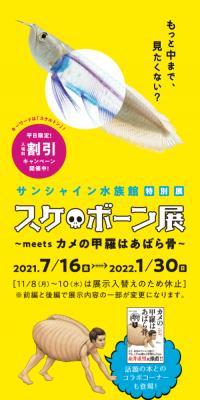 スケ・ボーン展～meets カメの甲羅はあばら骨～のLPデザイン（遊園地・テーマパーク・公園／イエロー系／かわいい系）スマホ版