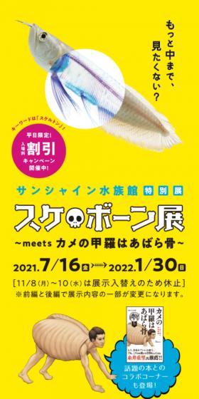 スケ・ボーン展~meets カメの甲羅はあばら骨~のLPデザイン(遊園地・テーマパーク・公園/イエロー系/かわいい系)スマホ版