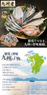 こだわり鮮魚の干物セット 6種のLPデザイン（魚介類・海産物／ホワイト系／和風系）PC版