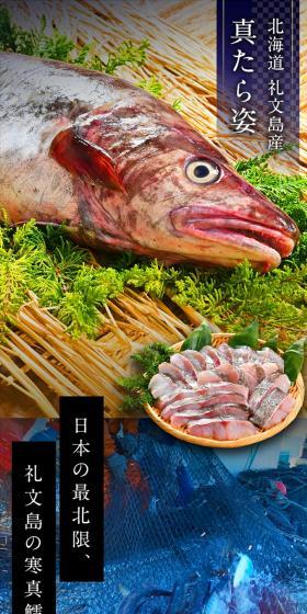 Female whole Pacific cod from Rebunto LP design (Seafood / Shades of blue / Japanese style) PC version